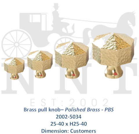 Brass Pull Knob - Polished Brass - PBS 2002-5034