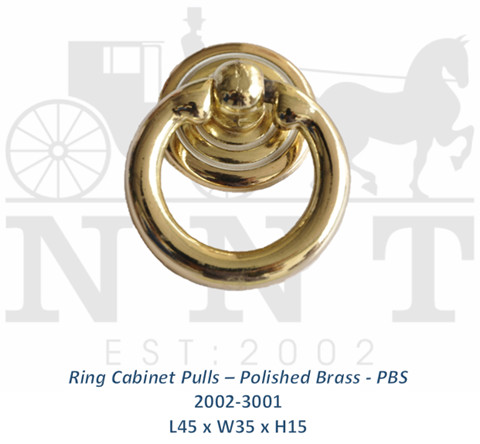Ring Cabinet Pulls - Polish Brass - PBS 2002-3001