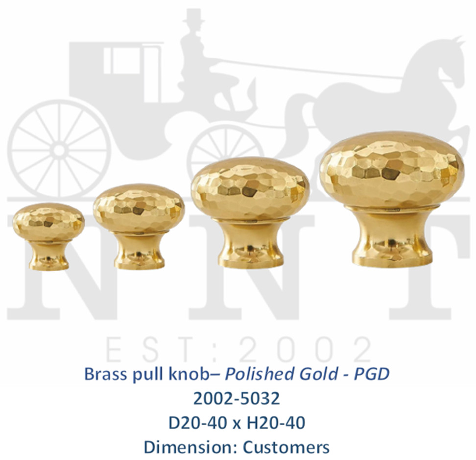 Brass Pull Knob - Polished Gold - PGD 2002-5032