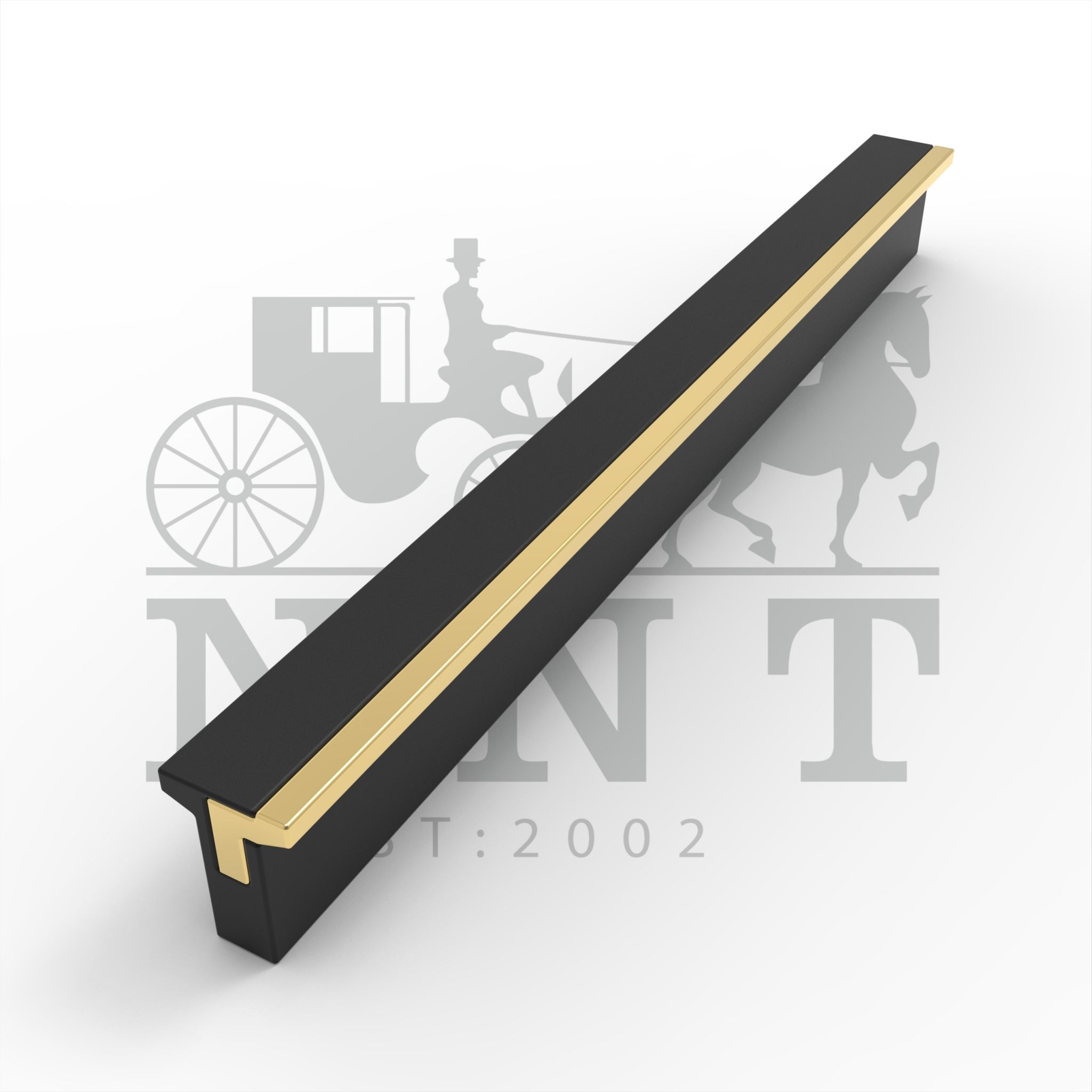 Modern T-shaped Grip Bar 2002-2024